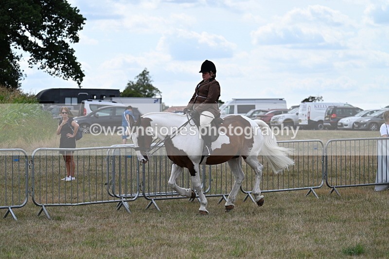 WJ7_5048 - Class 12 Ridden Cob