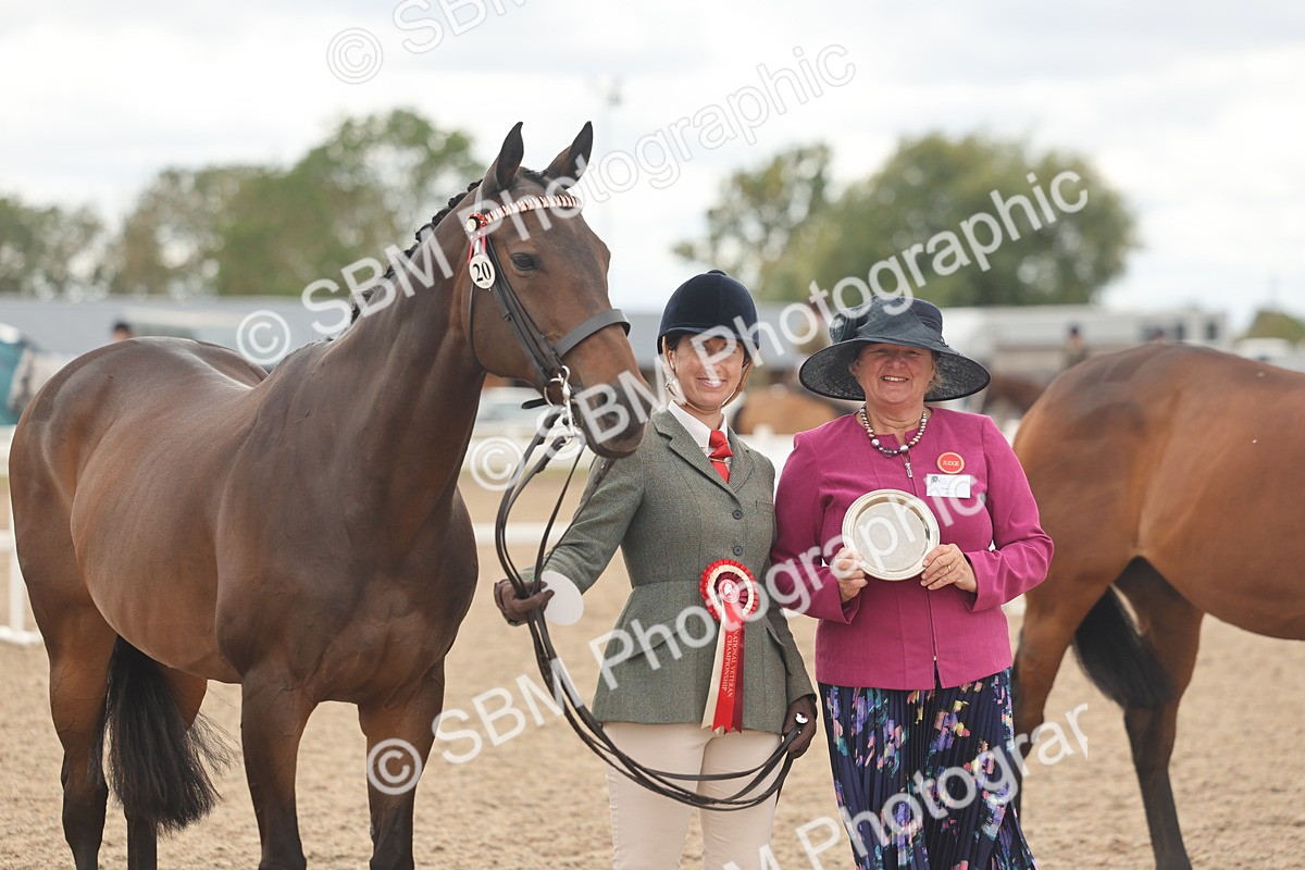 SBM_17144 - Class 313 - IH Retired Racehorse