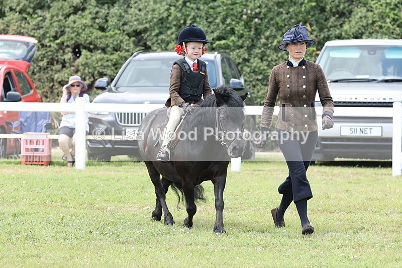 JPP_1890 - Class 18: Tiny Tots Working Hunter Pony