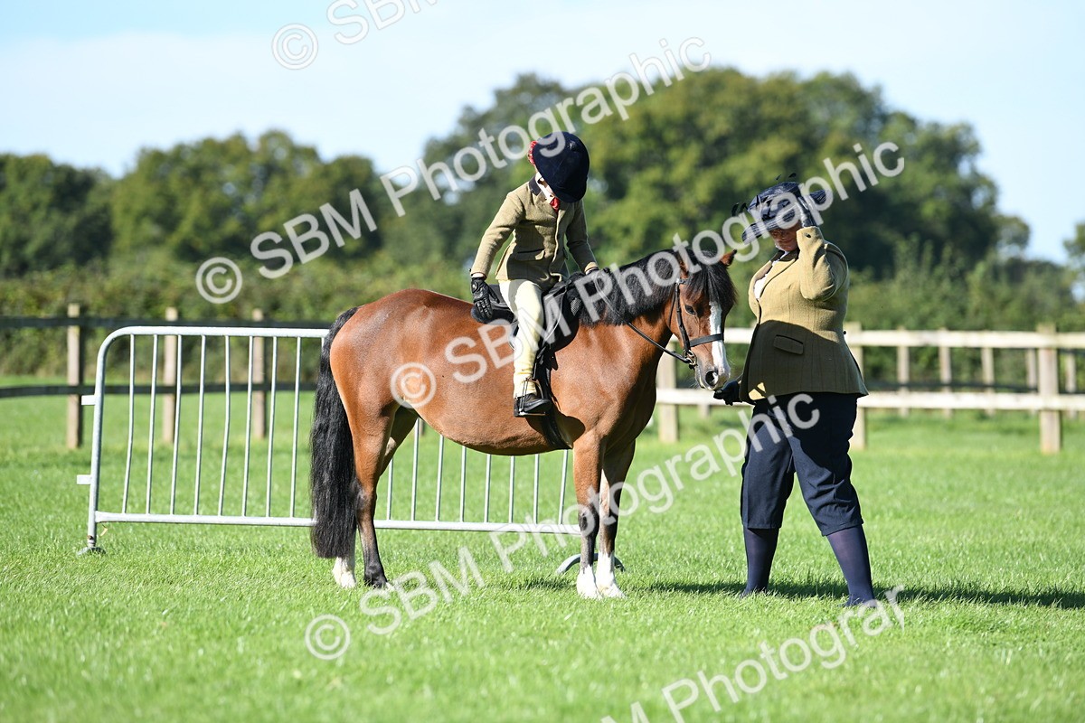 SBM_36766 - S18 - Novice & Newcomers Lead Rein Pony