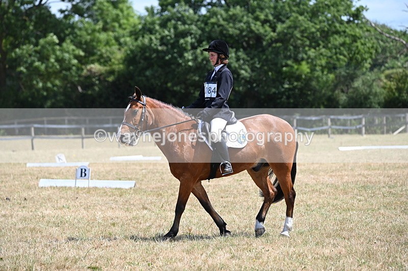 WJ6_3983 - Time 11:43 to 12:14