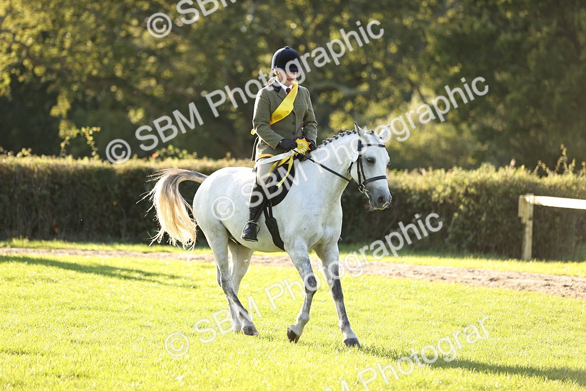 SBM_29655 - S7 - Novice & Newcomers Ridden Pony