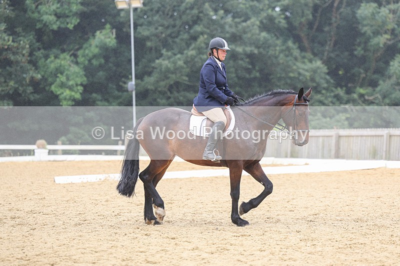 3E7A5543 - Class 2: Intro 4 2024 section B