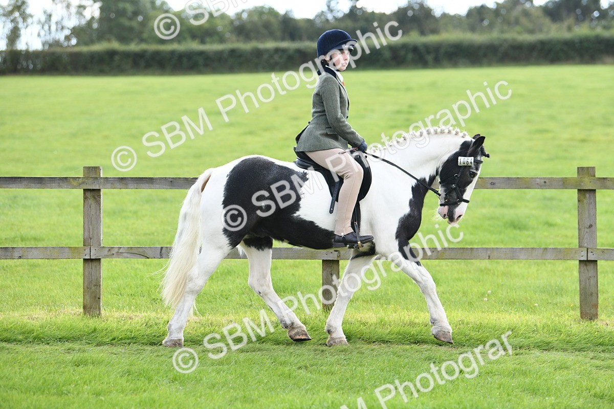 SBM_46735 - S12 - Family Horse & Pony