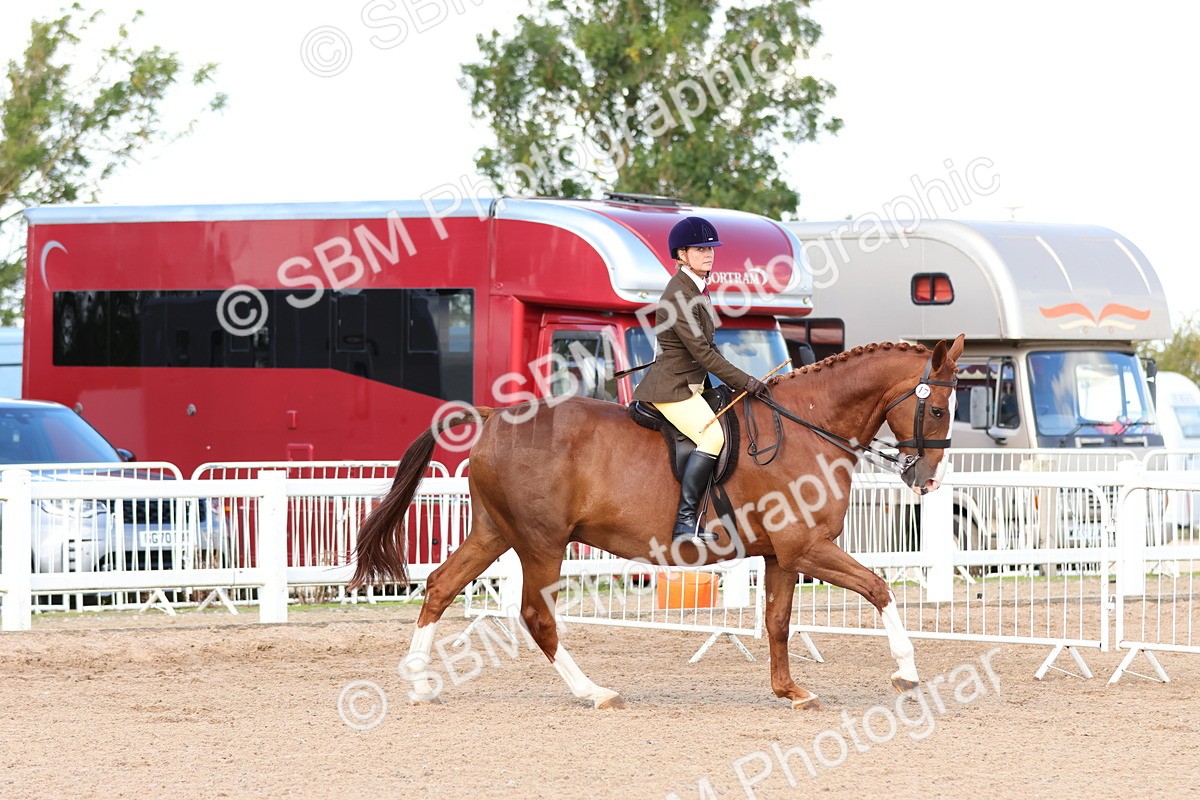 SBM_13484 - Class 212 - Ridden Hunter  - Large