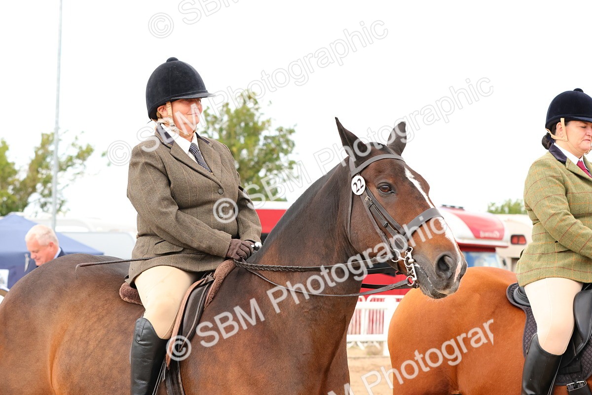 SBM_15526 - Class 214 - Ridden Show Cob