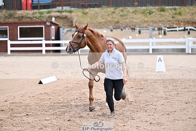 250716-130737-00351 - Trot Up 12.30 to 1.30