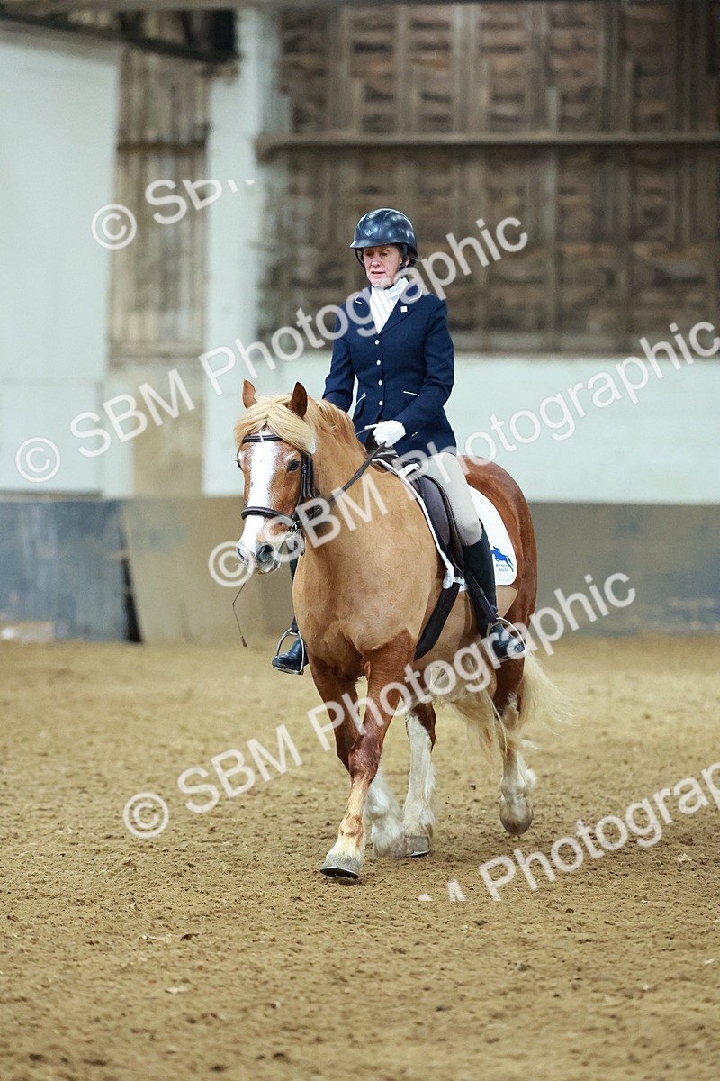 SBM_003665 - Novice 2