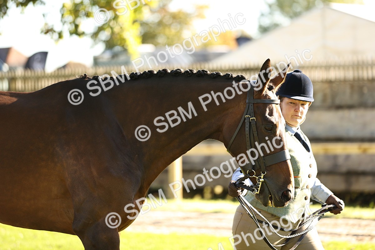 SBM_15748 - S1 - TSR in Hand Horse & Pony Showing