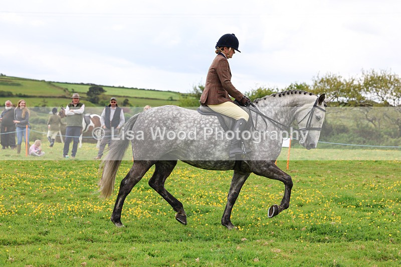 3E7A1296 - Class 7: Ridden Hunter Type