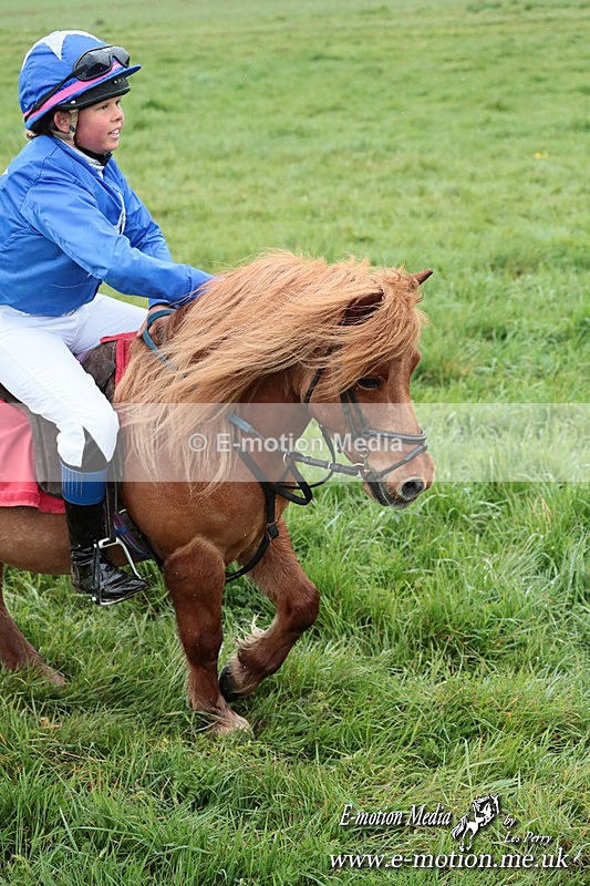 SHETPR 210425 255 - Shetland Ponies Paxford Races 21/04/25