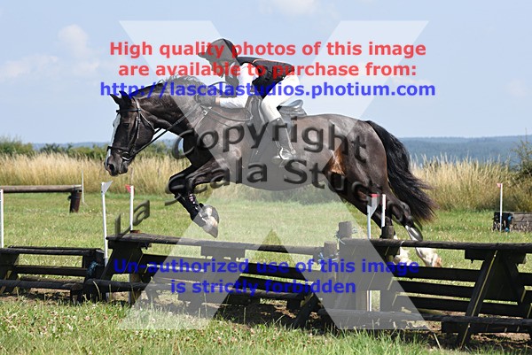 SNCP_0201 - S Group