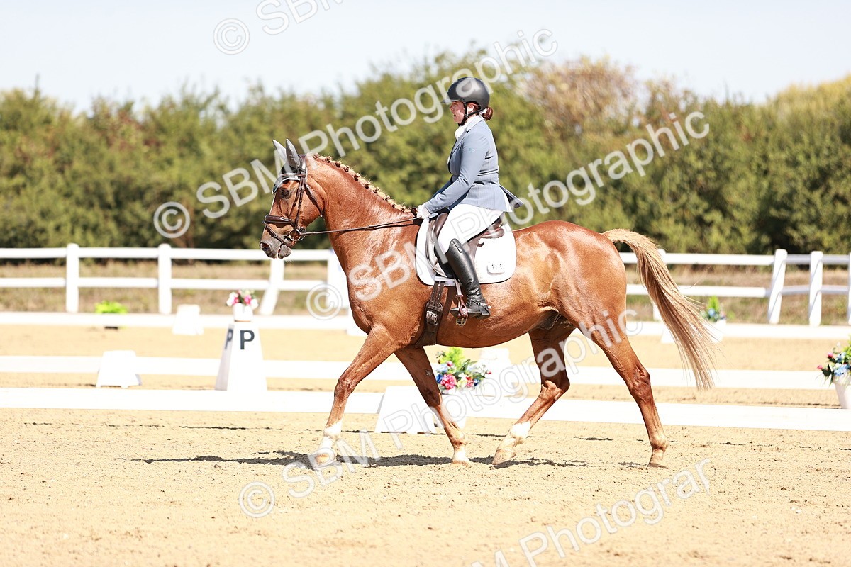 SBM_004527 - Class 12 - Novice 5 - 10.31-11.41
