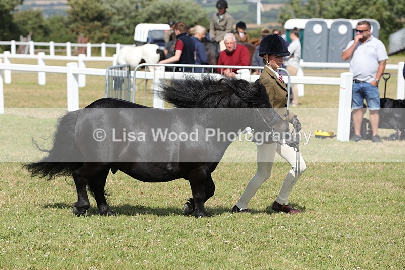 1X9A5628 - Class 39: NPS Dartmoor, Exmoor, Shetland