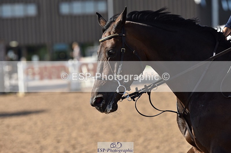 230811A-173734-07217 - Cls 25Nat 1.40m Open