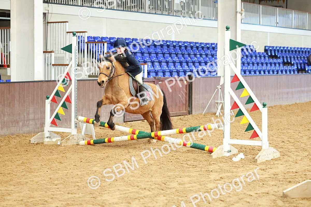 SBM_005591 - Class 2 - 50cm