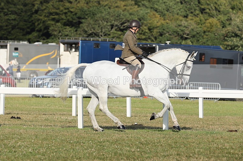 JPP_3522 - Class 22: Working Hunter 90cm