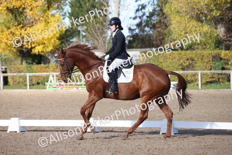 20251102-0599 - Class 4 - Novice 6