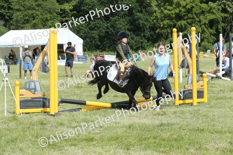 20260614-0181 - Class 1 - 30cm Lead Rein