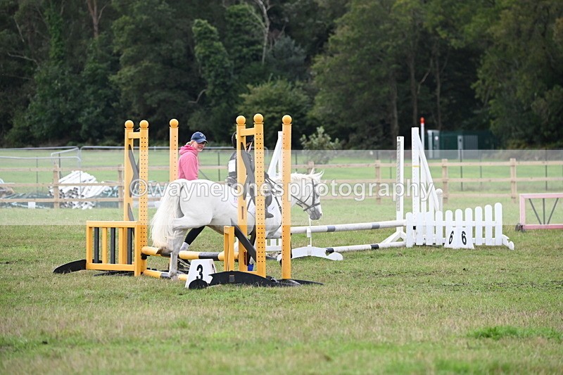 WJ6_0136 - 40cm Time 10:00 to 10:28