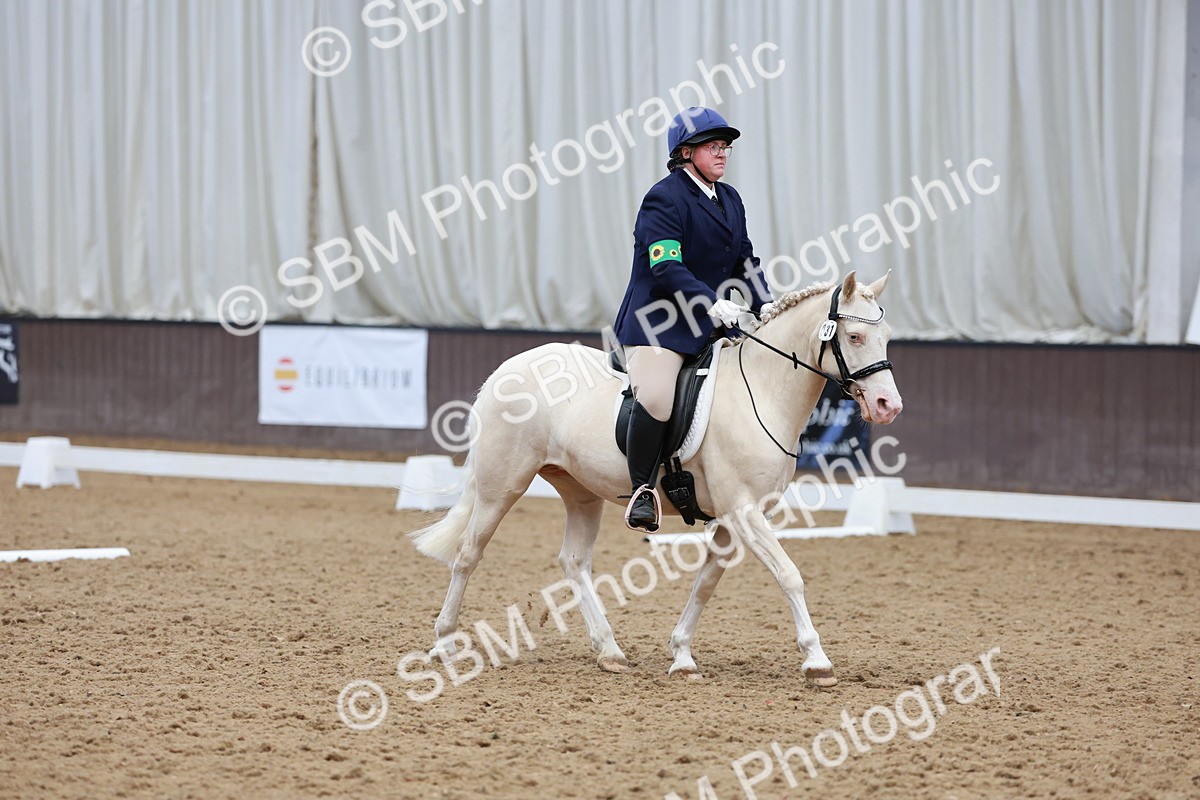 SBM_000676 - Class 2 - Intro 4