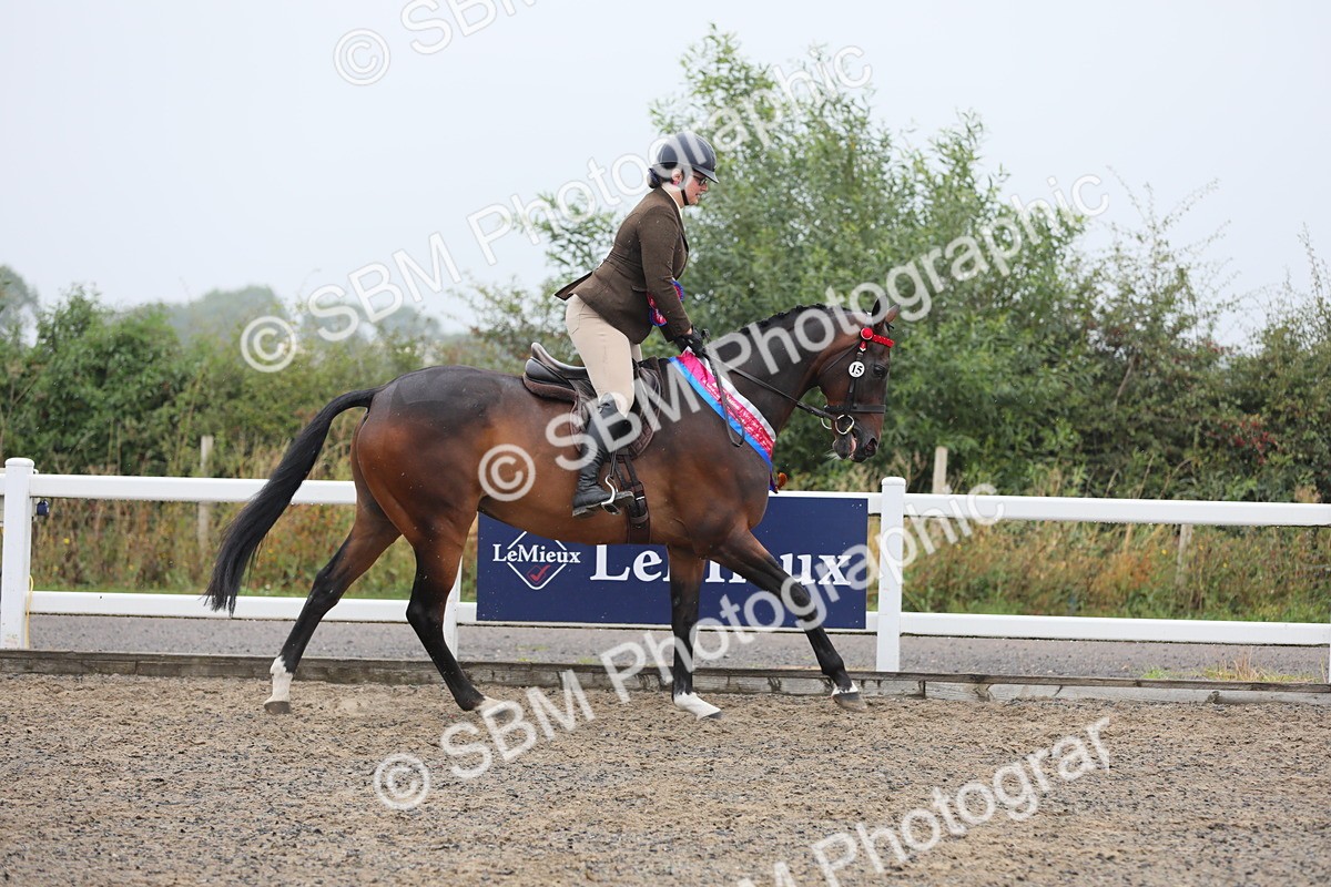 SBM_20100 - Class 802 - Ridden Groom - Helpers class