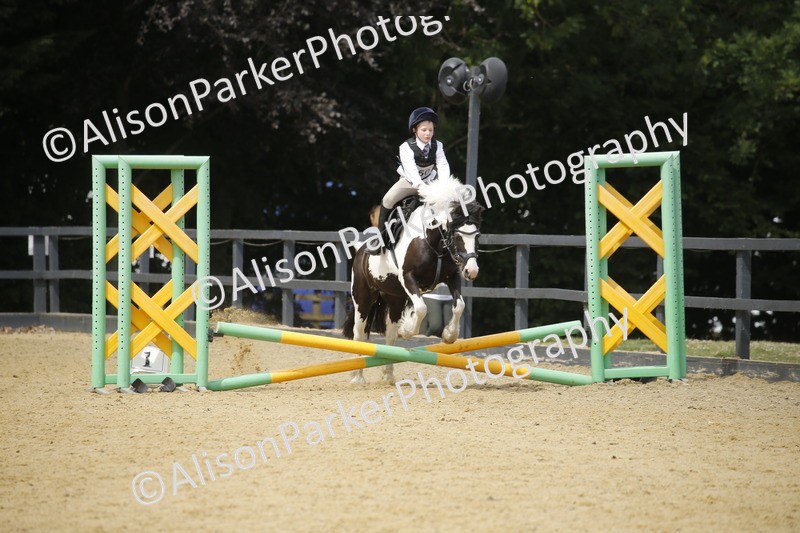 20250622-4622 - 50cm