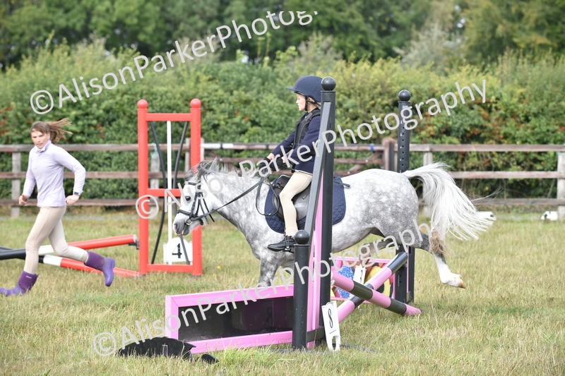 20250831-1767 - Class 8 - Hoof and Foot