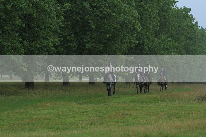 IMF_2826 - Time at Castle Jump 12:29 to 14:06