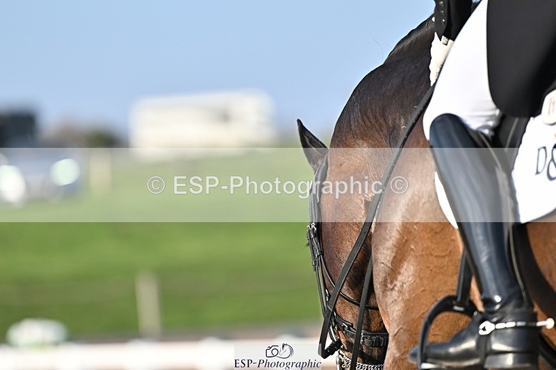 250404-181709-08598 - 159-Darren.Hicks-Tramontana.Tiger.Feet