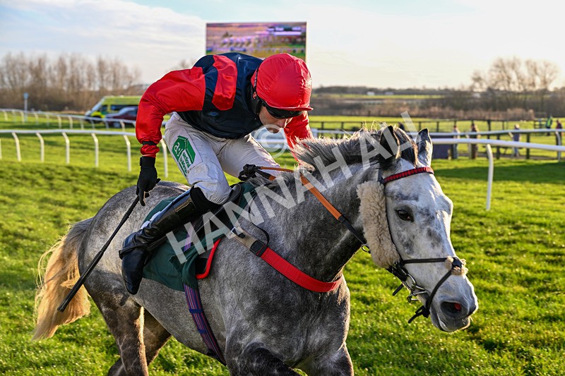 161225-Race 5-Somebodycomegether-8895 - Race 5