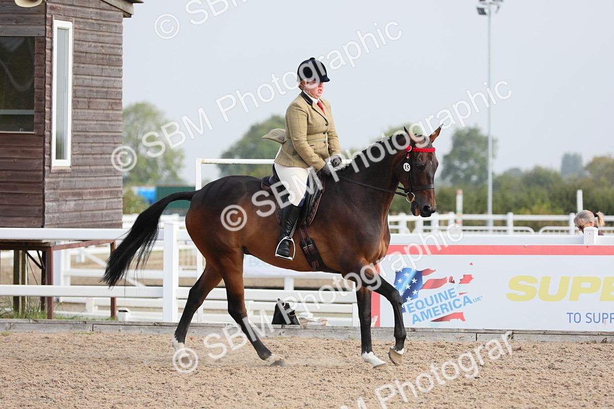 SBM_10707 - Class 303 Ridden Pure Bred Horse/Pony (excl M&M)