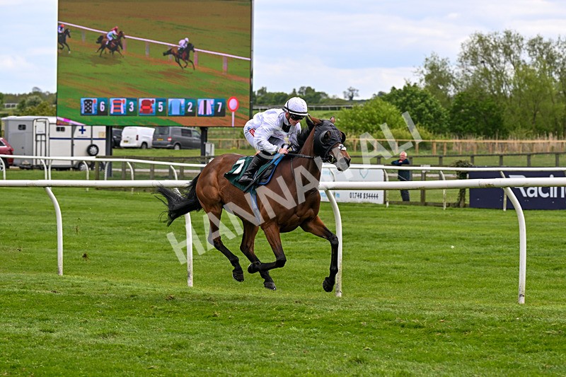 110526-Race 3-Laravie-0689 - Race 3 3.30pm Mick Rose Turns 70 Handicap