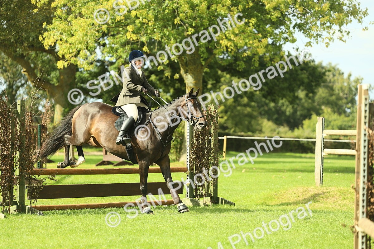 SBM_48029 - S32 - Novice & Newcomers Working Hunter