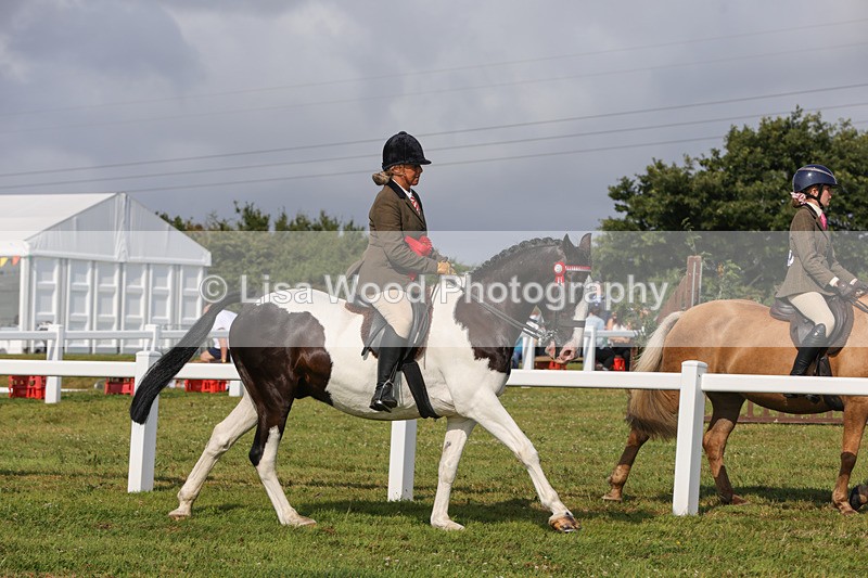 1X9A3487 - Skewbald and Piebald Ridden Championship