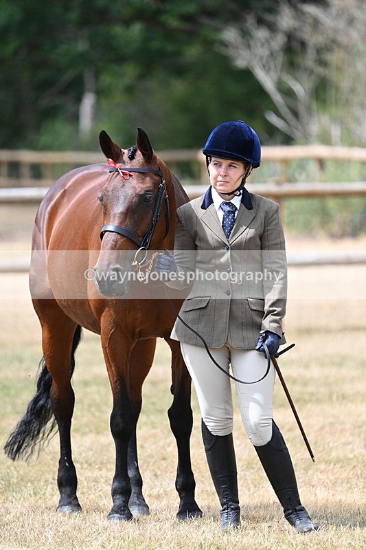 WJ7_1878 - Class 4a Prettiest Mare 14.2hh and over hand