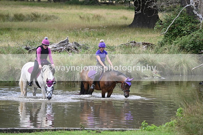 WJ7_5079 - Time at Water 14:00 to 14:53