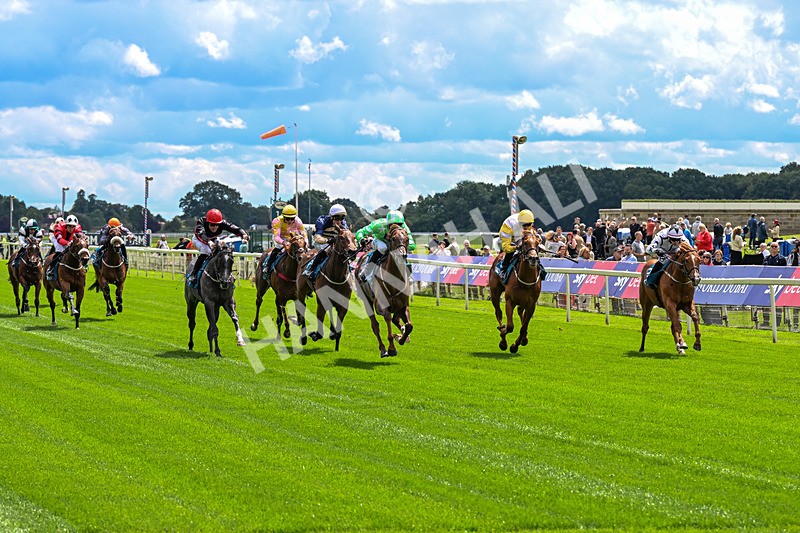 120626-Race 2-Everatease-0106 - Race 2 14.25pm Constant Security Keeping York Racegoers Safe Rous Selling Stakes