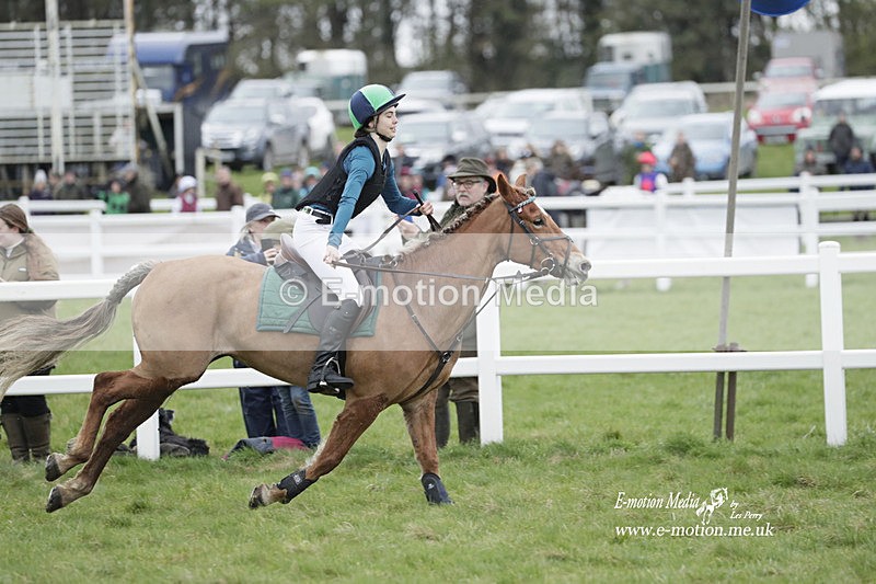 PtP 260323 0057 - New Forest Hounds Point-to-Point Larkhill 26/03/23
