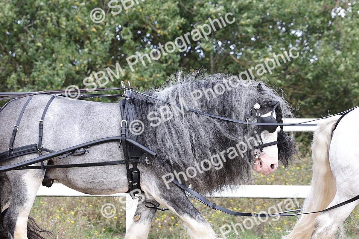 SBM_001140
