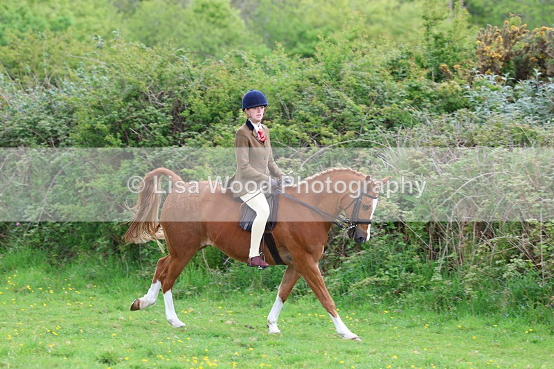 3E7A2086 - Class 11: Ridden Arab