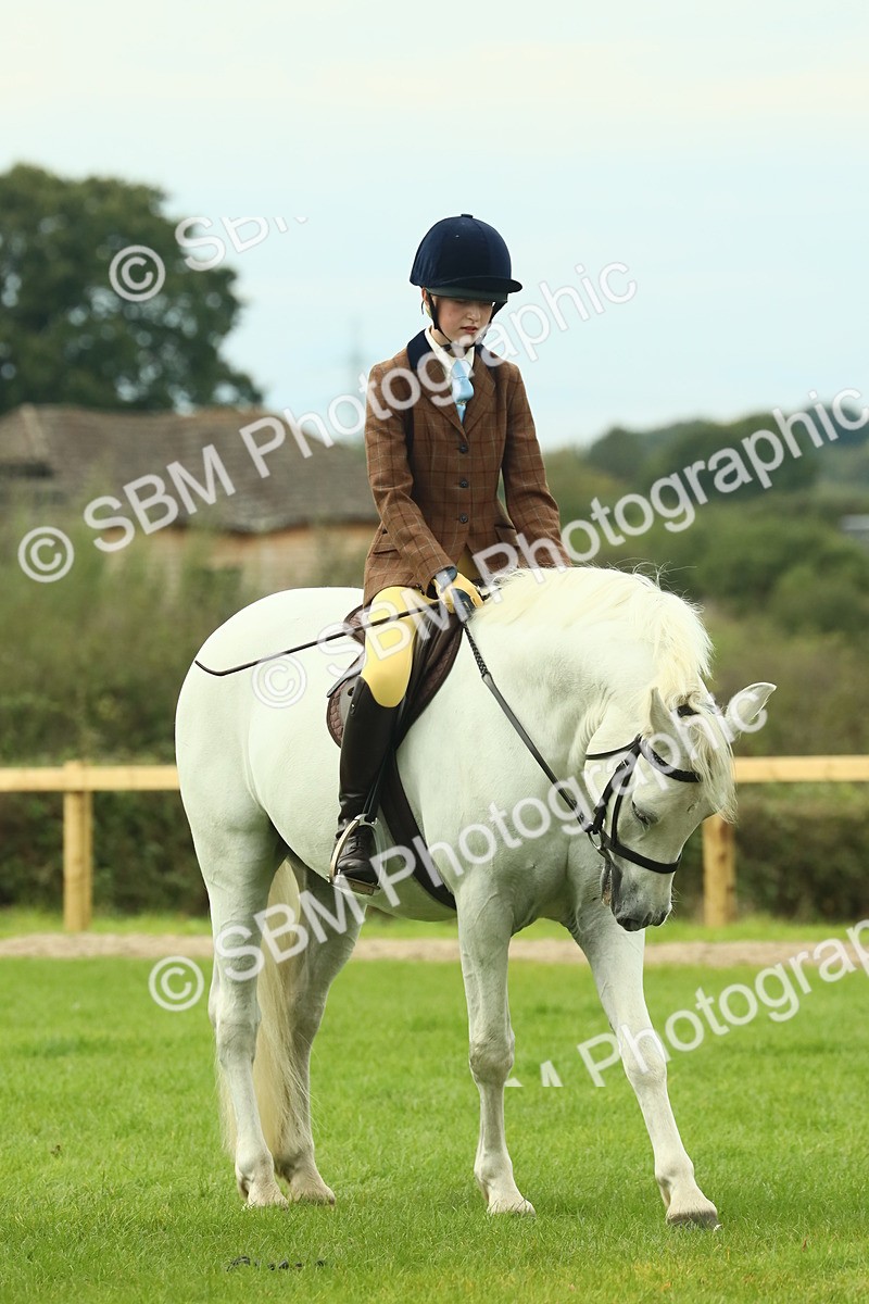 SBM_71943 - S60 - Mountain & Moorland Ridden Large Breeds