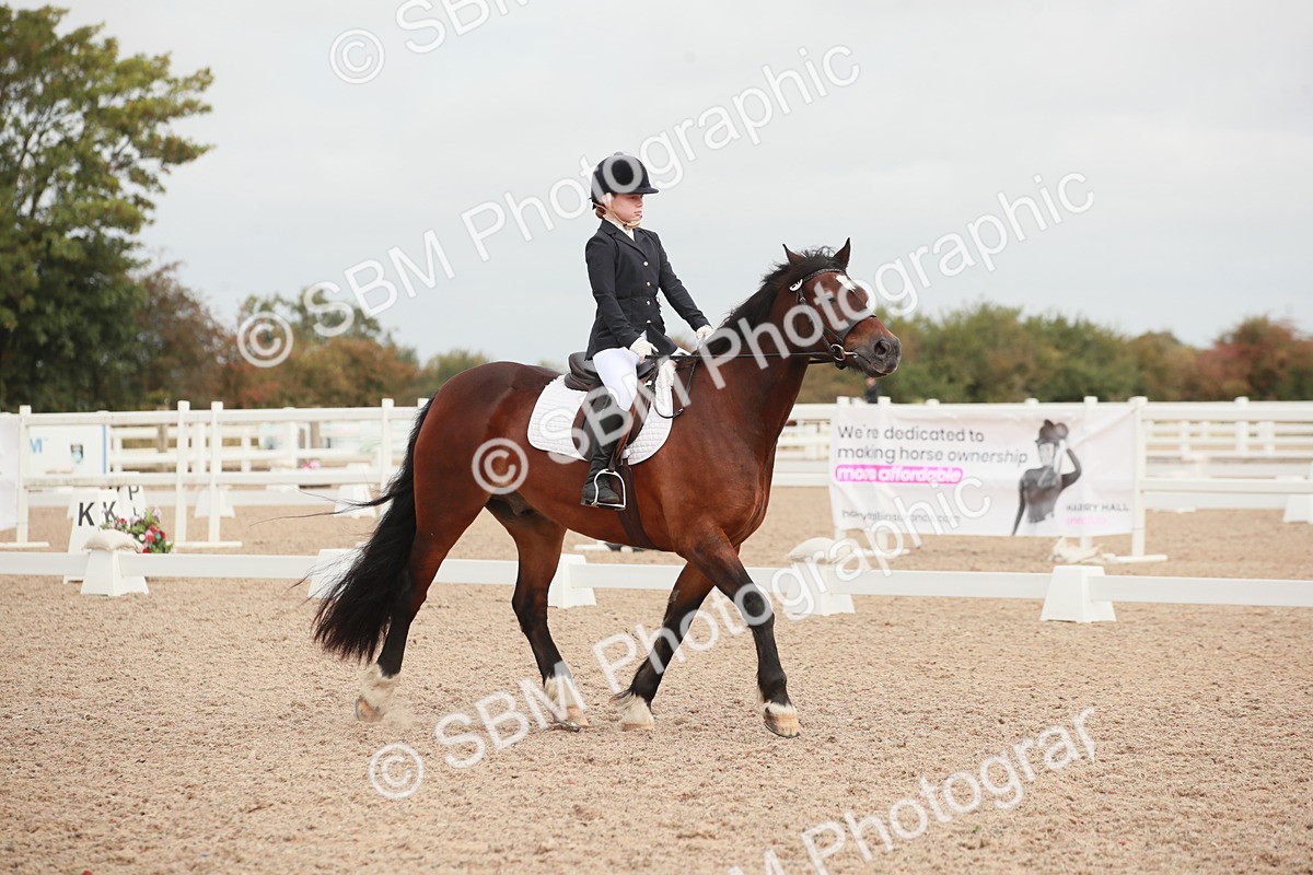 SBM_02601 - Class 30 - Intro 1