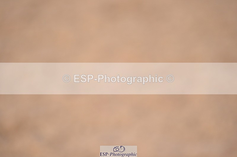 240306A-141426-01602 - Cls 4 Newcomers and 1.10m Open