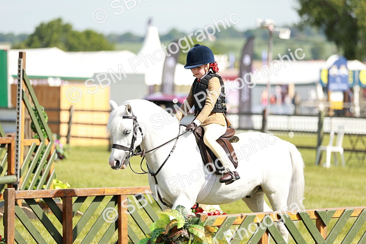 SBM_12749 - Class 106-107 - BSPS LIHS Working Sports Pony