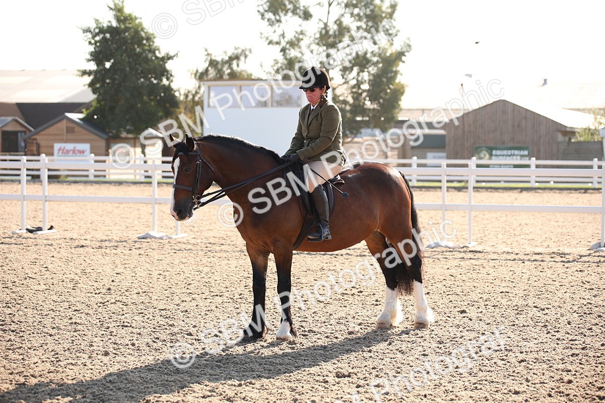 SBM_00691 - Class 14 Ridden M&M Wildcard