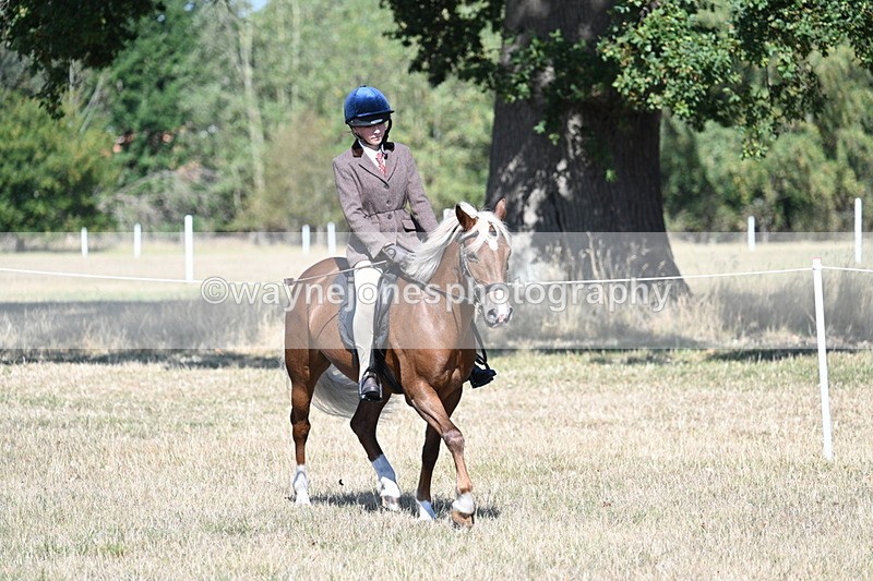 WJ7_3989 - Class 9 Mountain & Moorland Ridden