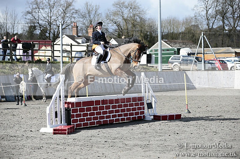 BVRC SJ 170319 617 - Bourne Valley Riding Club Showjumping 17/03/19