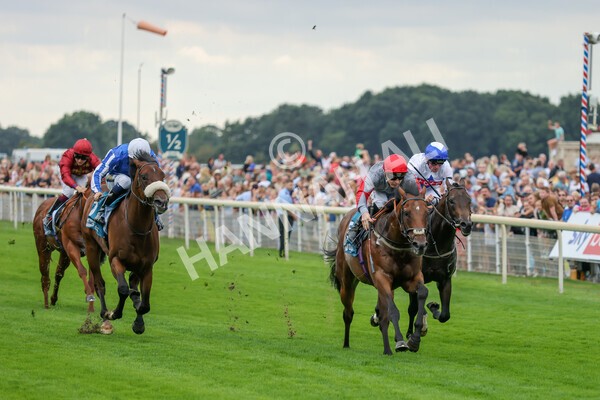 yr04092022r1-22 - Race 1 1.45pm IRE Incentive, It Pays To Buy Irish EBF Novice Stakes