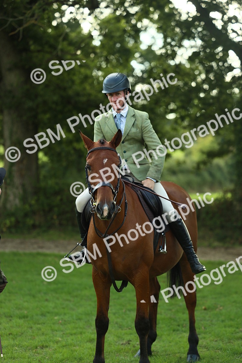 SBM_50734 - S33 - Working Hunter & Working Show Horse